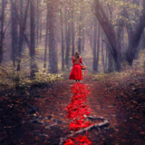 A volte le principesse sono guerriere