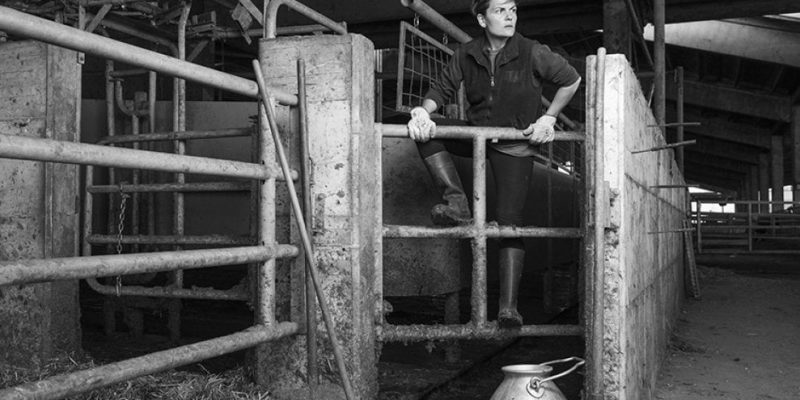 5 storie di ragazzi giovani che hanno scelto mestieri ecosostenibili