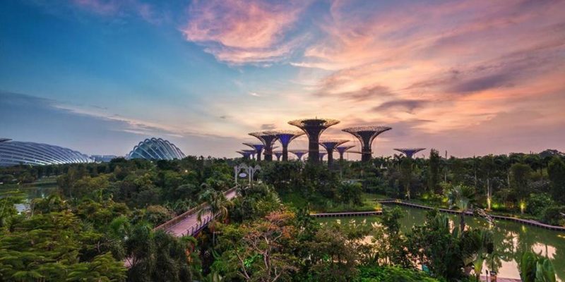 L’incredibile giardino alieno a Singapore: immagini ultraterrene