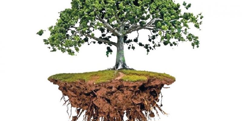 Ventuno Giorni per Rinascere!