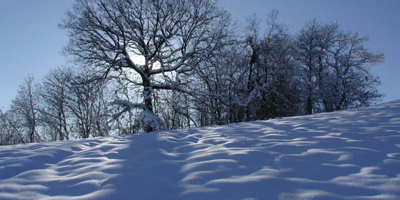 Tu sei la nuova energia