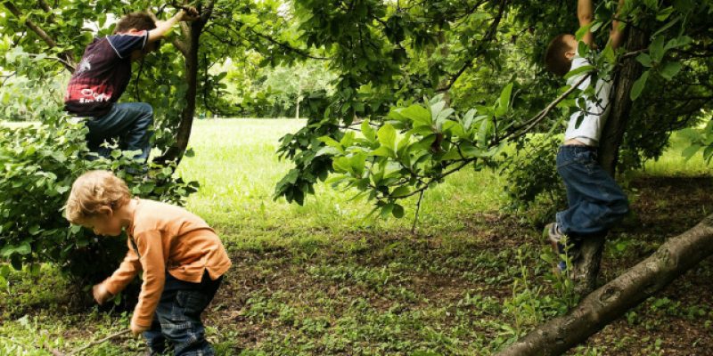 I bambini hanno bisogno di più natura e meno tecnologia