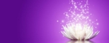 Genova – Seminario di Primo Livello Reiki