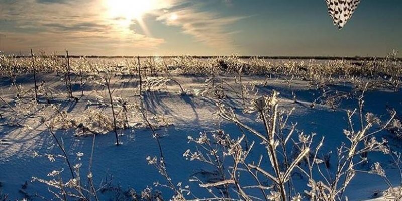 Milioni di tentativi scivolati come sabbia lungo questa gabbia di solitudine