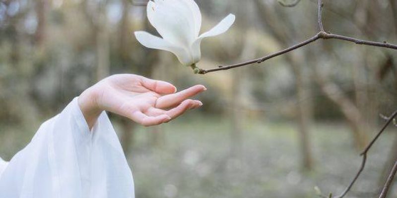 Occorre il coraggio di piantare semi nuovi nella terra