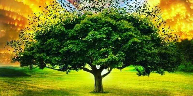 Che rabbia si scagli se è per liberare