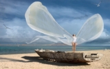 Meditazione – Apri le ali