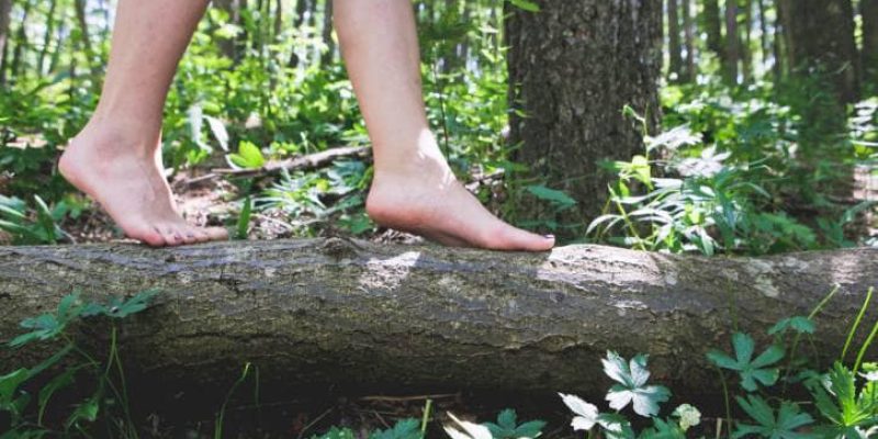 Abbiamo imparato a ricordaci del Cielo ma adesso ritorniamo ad amare la Terra