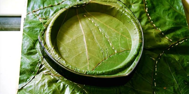 Piatti di foglie: la nuova soluzione ecologica che sostituisce la plastica