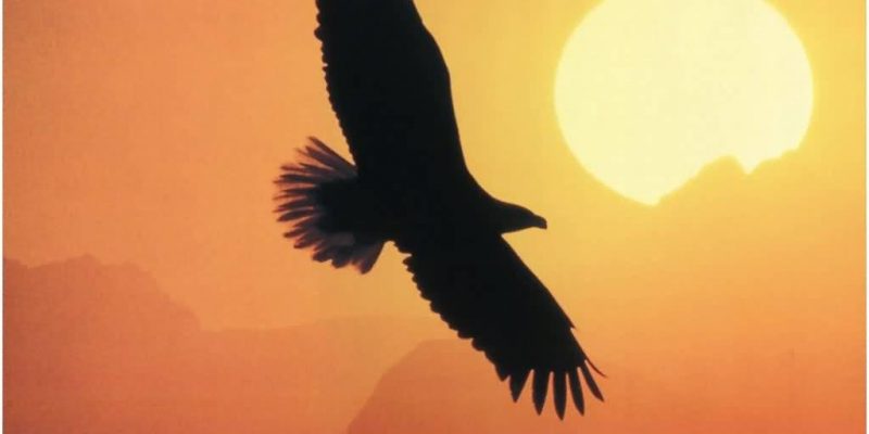 Vivere al confine – I Guerrieri che allargano la realtà!