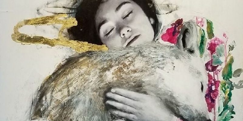 Il Cane e l’Amore Incondizionato