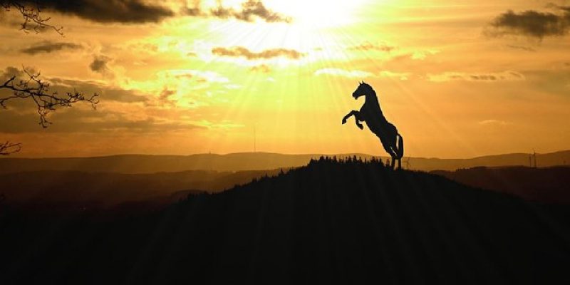 Eccomi, sono il Senso di Colpa