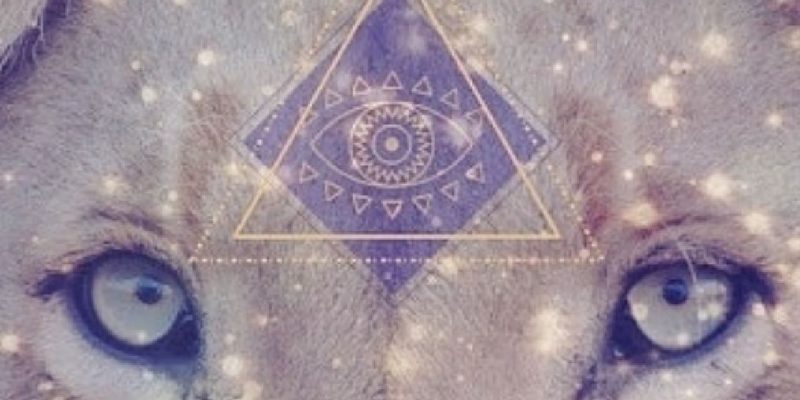 Chi sono? Il viaggio dell’Anima secondo l’Astrologia Karmica