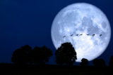 L’Agenda della Luna 2020