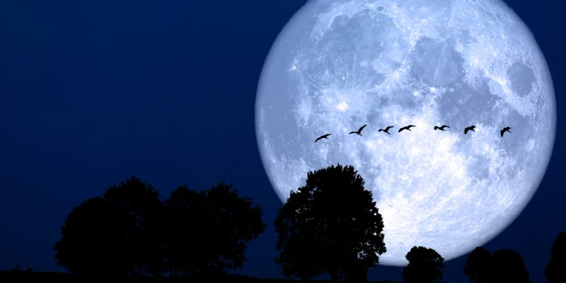 L’Agenda della Luna 2020