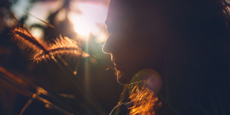 La Via Aurea delle Emozioni