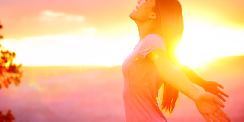 Sibaldi – Il Mondo dei Desideri