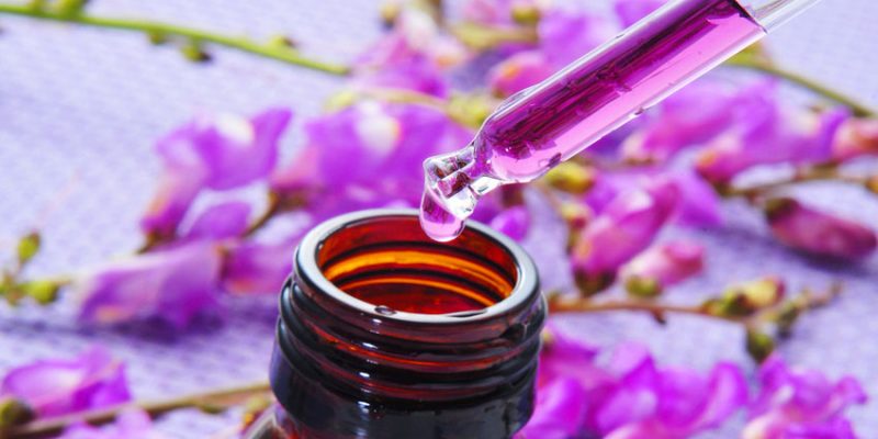 I fiori di Bach e il suo scopritore Edward Bach