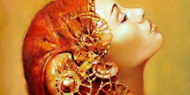 I segni del Silenzio