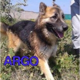 Argo cerca casa!