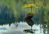 La Meditazione Zen