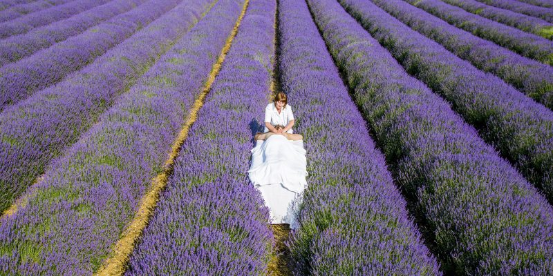 Scopri le “Erbe Buone” – Le piante della Salute