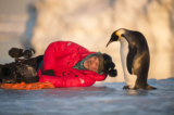 LA MARCIA DEI PINGUINI – IL RICHIAMO