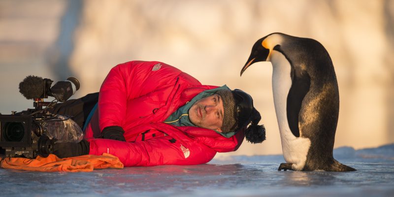 LA MARCIA DEI PINGUINI – IL RICHIAMO