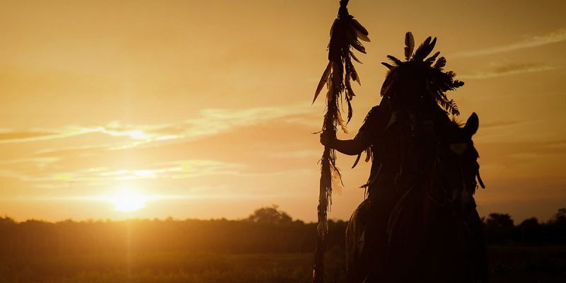 Sai che gli alberi parlano ?