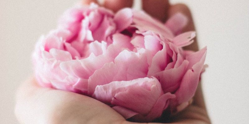 Parole antivirus. I quattro atteggiamenti per potenziare il sistema immunitario