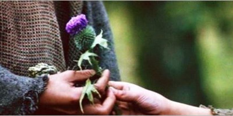 “Il Grande Spirito” è nei piccoli dettagli