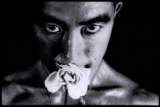Yukio Mishima – Le Stelle