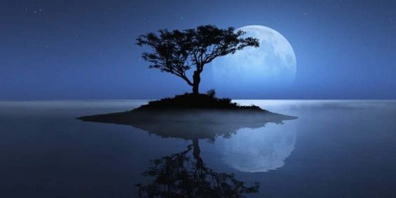 Le parole della poesia – Erica Poli