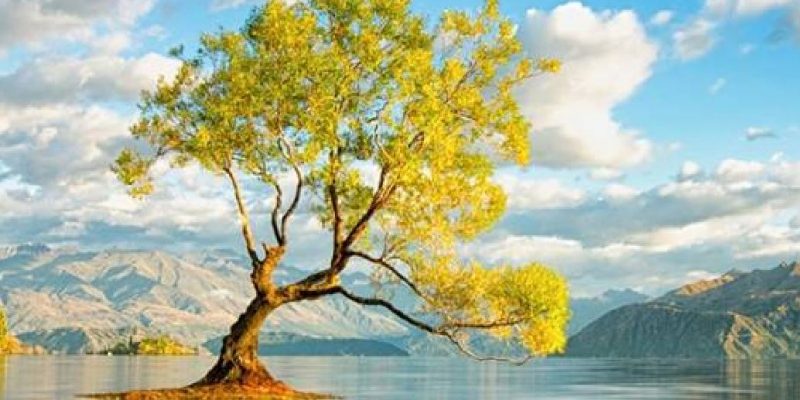 Non lasciarti avvolgere dalla nebbia