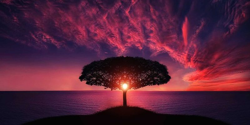 I Sutra dell’Amore Universale – è la legge dell’amore che connette il tutto