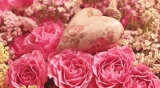 Oggi, scegli l’Amore