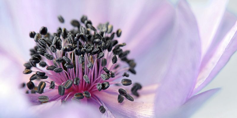 Verso la rinascita della pasqua