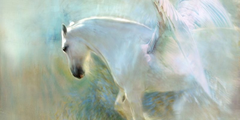 Scelgo di essere felice, da adesso!