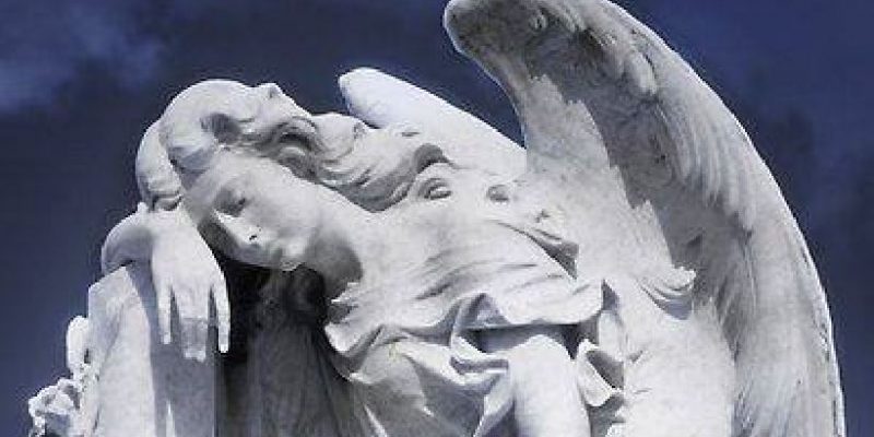 Gli angeli che cadono