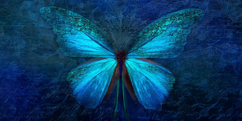 Animali legati al Sacro Femminile