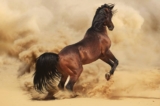 Nessuno ha potere su Anima libera e in pace….