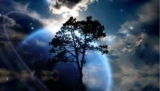 L’Universo è ricco di stelle…