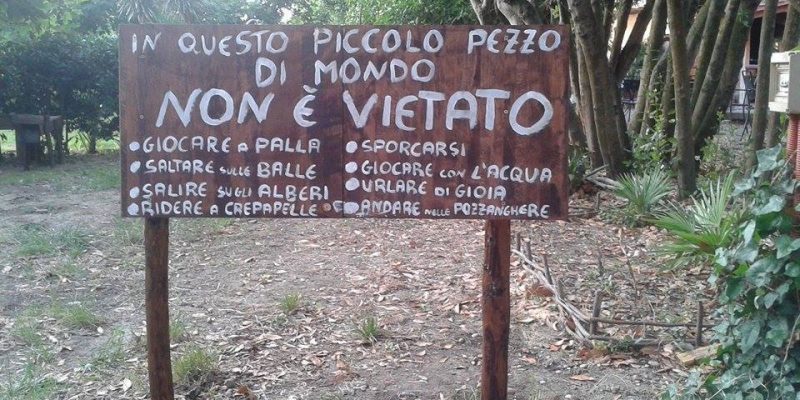 L’asilo nel bosco: educazione all’aria aperta e tanta natura