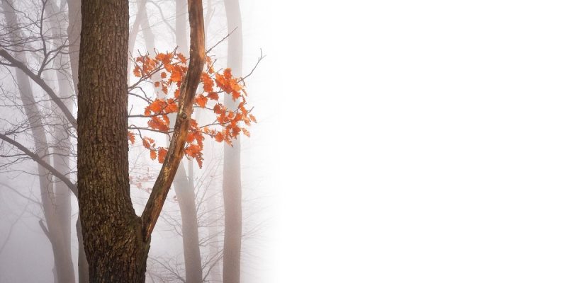 Tempo di Divinità e Scintille di Bellezza