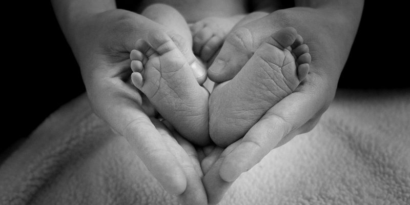 Scardovelli – Il cervello del cuore