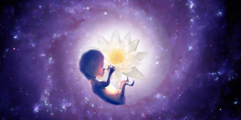 In arrivo un’ondata di bambini Indaco