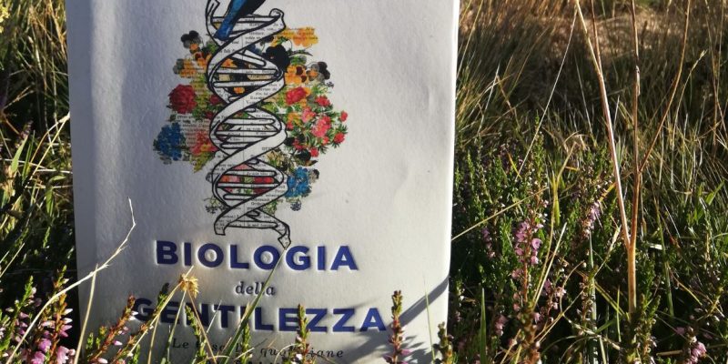 Contagiamoci di Gentilezza