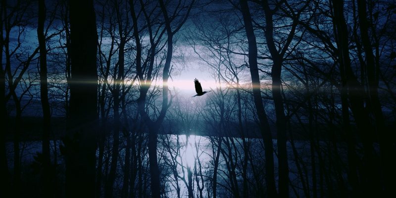 Troviamoci sotto la Luna