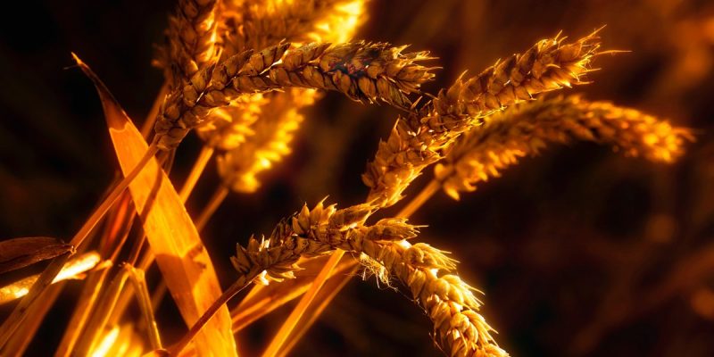 L’abbondanza è donna