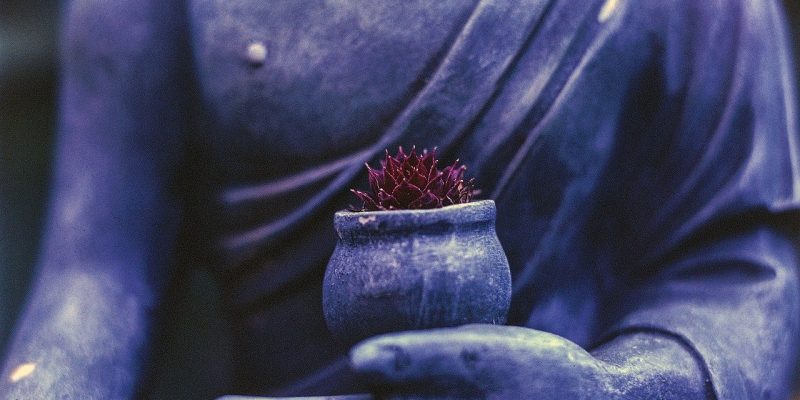 Koan e Wato – L’illuminazione improvvisa